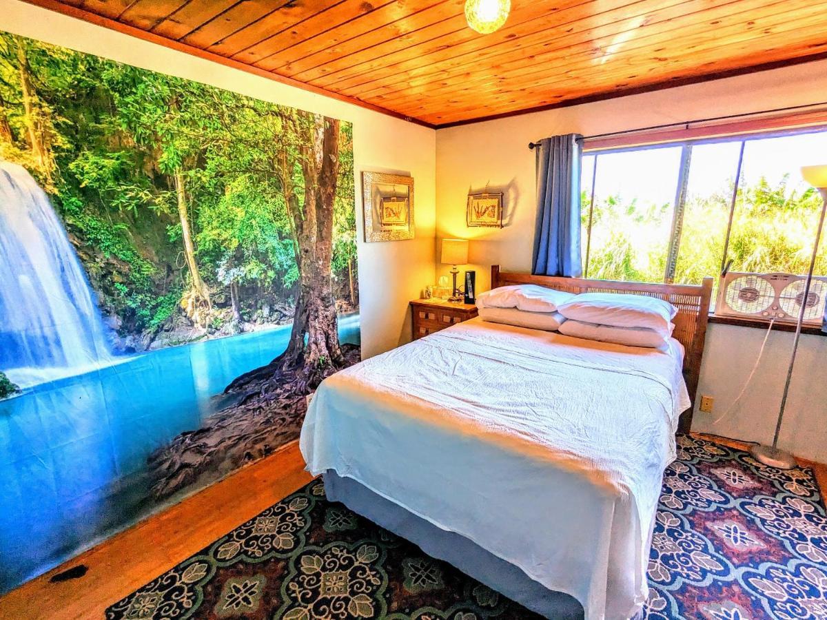 Hamakua Guesthouse Pepeekeo Eksteriør billede